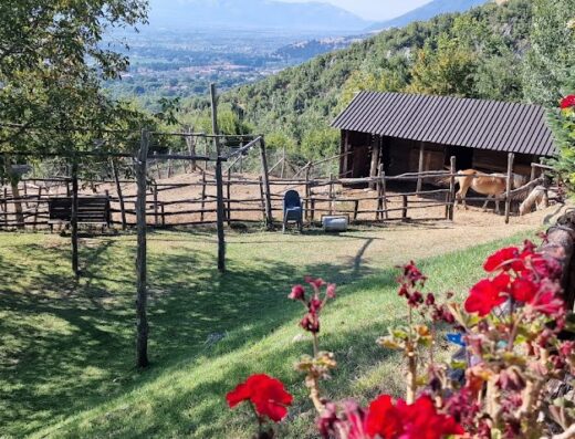 Fattoria Alvaneta: Panorama pittoresco con cavalli al pascolo in un recinto di legno, fienile rustico e vista sulle colline circostanti. Ideale per una vacanza rilassante e immersa nella natura.