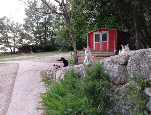 Fattoria Tana della Volpe