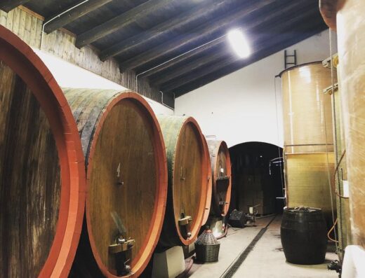 Interno di una cantina a GranCollina Cantina-Agriturismo-Area Camper con botti di legno per la fermentazione del vino.