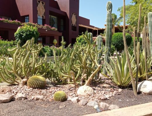 Hotel Acquario: esterno con giardino di cactus e piante grasse, architettura moresca, atmosfera esotica e rilassante.