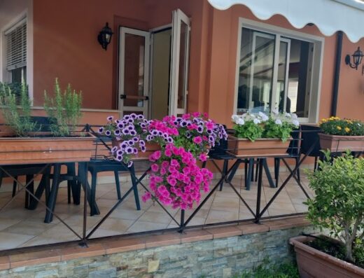 Veranda fiorita dell'Hotel Alsazia, con vasi di petunie rosa e viola, erbe aromatiche e fiori bianchi e gialli. Arredamento esterno curato per un'accoglienza piacevole.