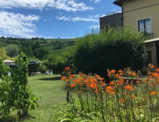 Giardino fiorito dell'Hotel Langhe con vista panoramica sulle colline, ideale per un soggiorno rilassante e immerso nella natura.