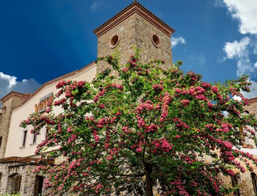 Hotel Villa Venus Resort & Spa building exterior with stone towers and a flowering tree in the foreground.
