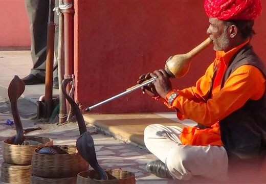 I VIAGGI DI MONER/DAMONER TOUR