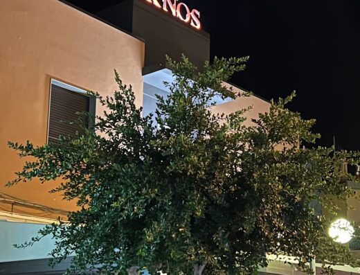 Esterno illuminato di sera dell'IKNOS Accommodation con albero in primo piano e vetrate del ristorante visibili.