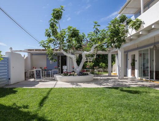 Giardino curato con prato verde e un fico al centro, con il tronco dipinto di bianco, circondato da fiori colorati e tavolini all'aperto.