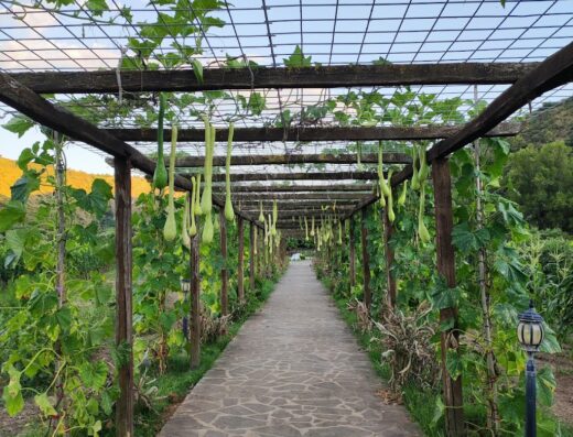 Percorso suggestivo all'Isca delle Donne, con pergolato di legno ricoperto di zucche ornamentali. Un'oasi di relax e bellezza nella natura.
