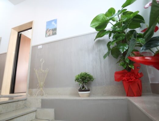 Interni della Casa di Luce con piante ornamentali in vaso, appendiabiti di design e gradini in marmo, dettaglio di decorazioni e arredi.