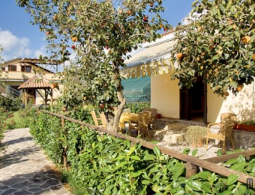 Immagine della Fattoria del Cilento che mostra un sentiero in pietra che conduce a un edificio color crema, circondato da vegetazione lussureggiante e alberi di cachi.