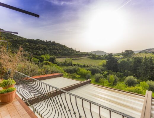 Vista panoramica dalla terrazza de La Tinaia Country House Bed & Board, con colline verdi e vigneti illuminati dal sole.