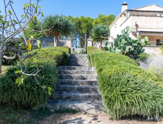 Scalinata in pietra circondata da vegetazione mediterranea presso Masseria Caliani, Puglia. Alberi di ulivo e cactus completano il paesaggio.