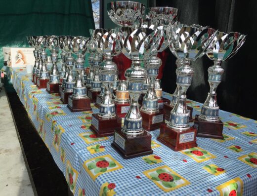 Esposizione di numerosi trofei d'argento su un tavolo con tovaglia a quadri e coccinelle, premiazioni del Motoclub Enduroteam Valsangone Scuola di Enduro.