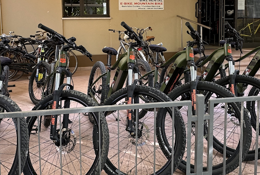 Noleggio mountain bike ed e-bike a Pesaro: fila di biciclette parcheggiate, pronte per un tour avventuroso nella natura.
