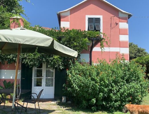 Natta di Monte Tabor: Esterno di una casa con ombrellone, tavolo e sedie in giardino. Un cane dorato si rilassa sull'erba.