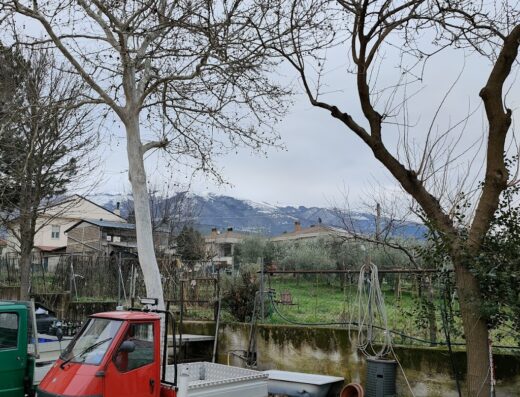 OFFICINA LUZI S.A.S.