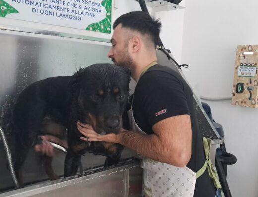 Un uomo lava un Rottweiler nero in un Pet Wash Village, utilizzando un sistema automatico di lavaggio per animali domestici. Servizio di toelettatura self-service per cani.