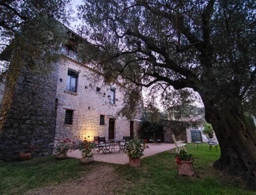 Affascinante casale in pietra con ulivo secolare, patio arredato e giardino curato, ideale per un soggiorno rilassante.