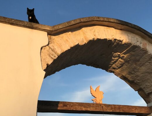 Un gatto nero si erge su un arco di pietra a Relais Masseria della Colomba, con una scultura di colomba visibile sotto, contro un cielo azzurro.