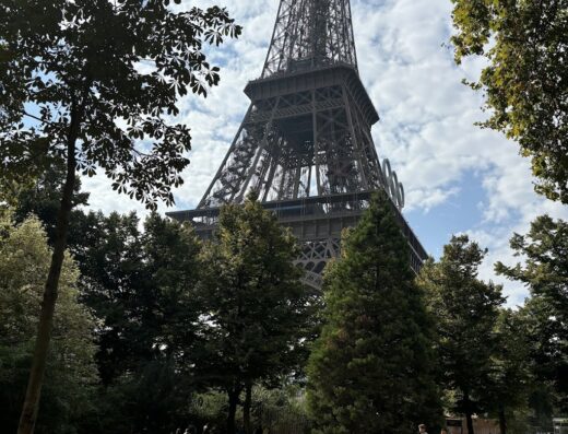 Vista suggestiva della Torre Eiffel, simbolo iconico di Parigi, che si erge maestosa tra gli alberi nel parco. Ideale per viaggi e vacanze.