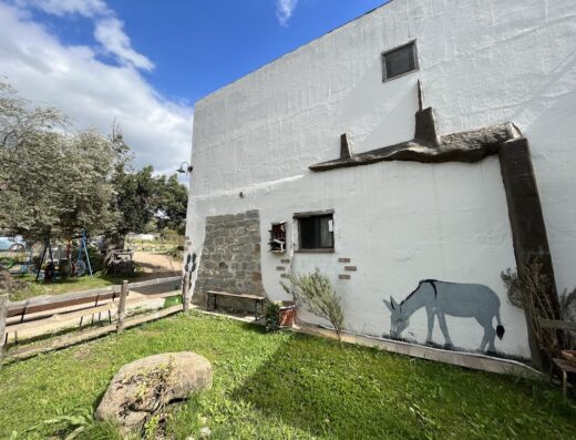 Esterno di S'Imbragu, con prato verde, muro bianco decorato con un asino dipinto e elementi architettonici rustici.