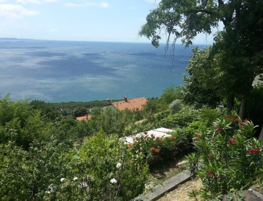 Vista panoramica dalla Strada del Friuli 509, con vegetazione rigogliosa, case con tetti rossi e il mare Adriatico sullo sfondo.