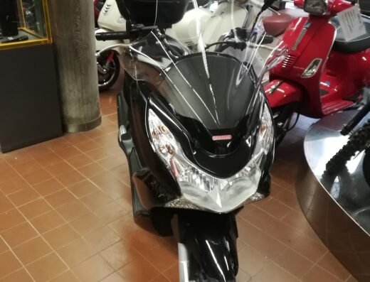 Suzuki Cesari Bologna