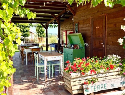 Terre del Piano Agricamping: Vista dell'area esterna con tavoli e sedie sotto un pergolato, fiori colorati in primo piano e attrezzature vintage.