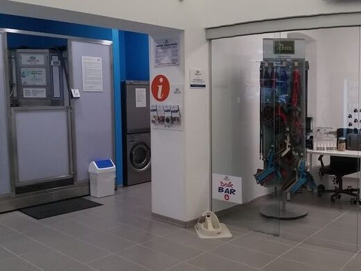 Interni di Wash Dog ad Alessandria, toelettatura cani self-service con box lavaggio, lavatrice, asciugatrice e area reception con accessori per animali.