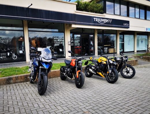 Triumph Lucca
