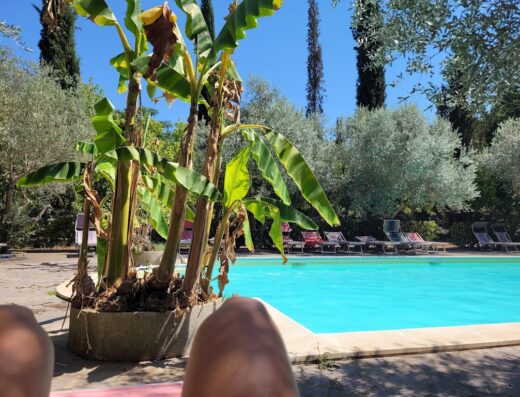 Veio Residence Resort: Vista rilassante sulla piscina con pianta di banano in primo piano, lettini prendisole e alberi sullo sfondo.