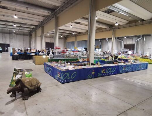 Interno di Vercelli Fiere con stand espositivi, articoli in vendita e scultura di tartaruga in primo piano.