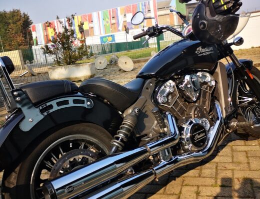 Wildbike Accessori Moto