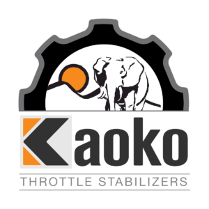 Kaoko Cruise control moto BMW R 1300 GS 2024- R1300GS Trophy 2024- KAO