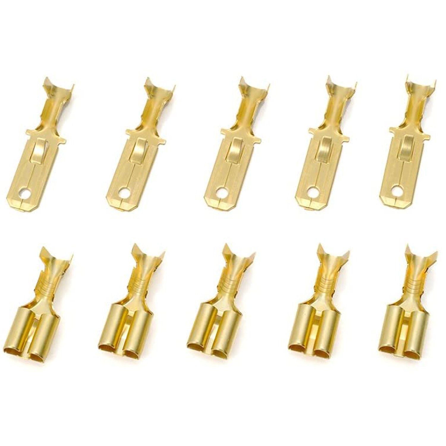 Terminali capicorda piatti, 250-TYPE, set di 5 Daytona - Qualità Profe 1 Terminali capicorda piatti, 250-TYPE, set di 5 Daytona - Qualità Profe
